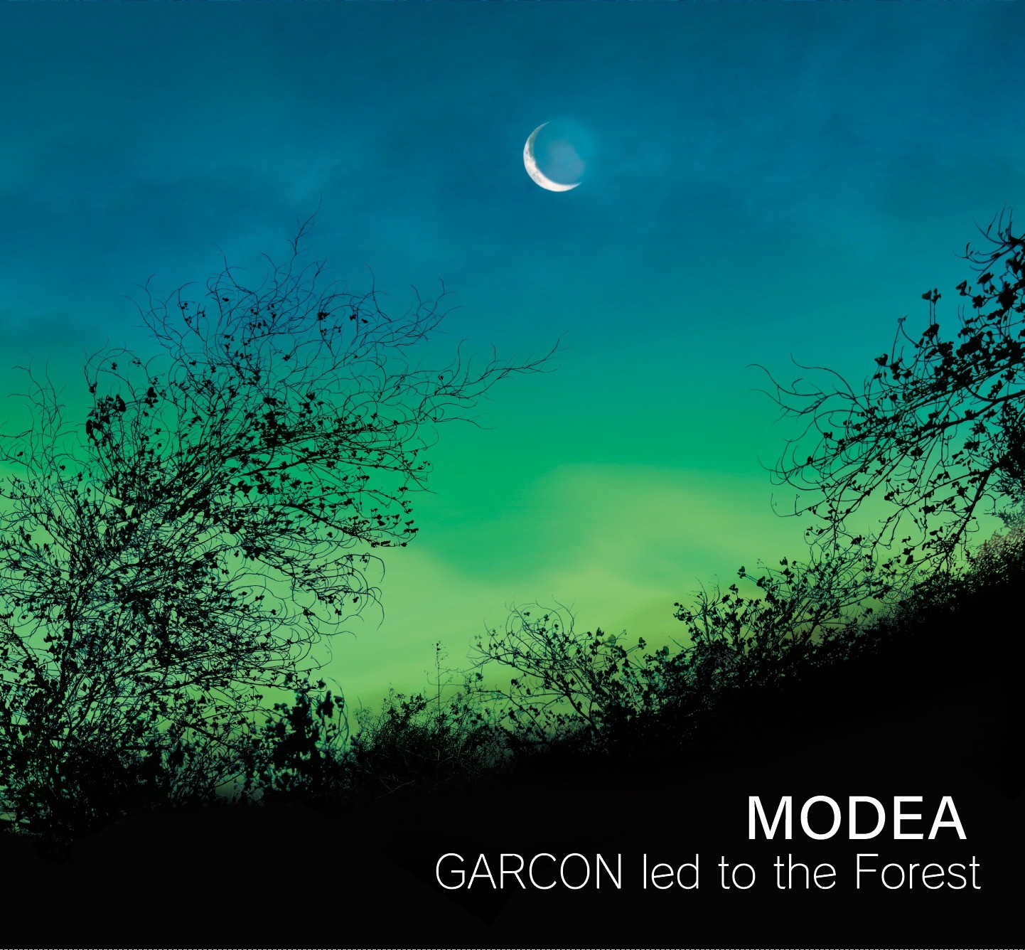 GARCON led to the Forest ジャケット